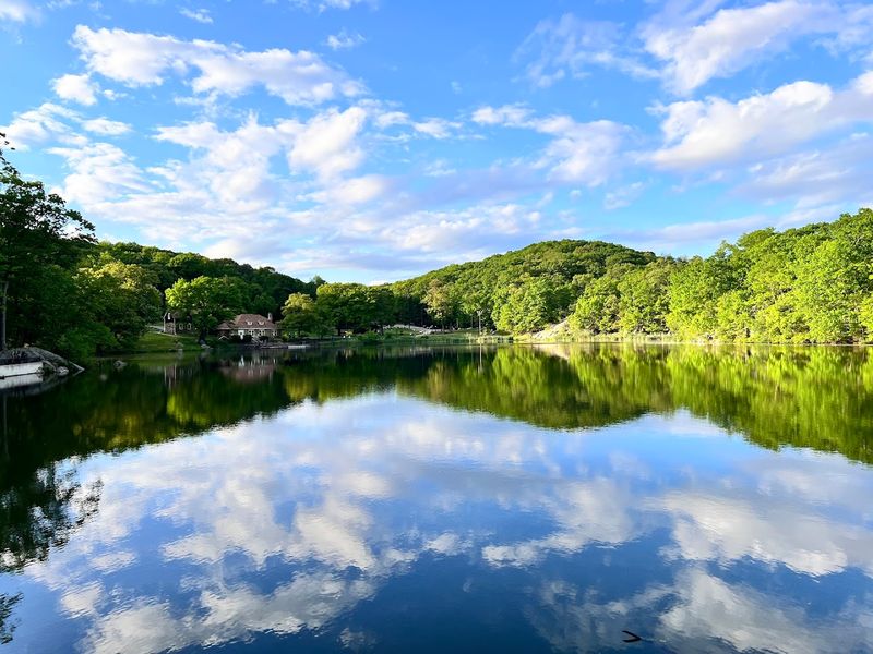 Seven Acres of Stillness: The Lake at the Heart of the Park