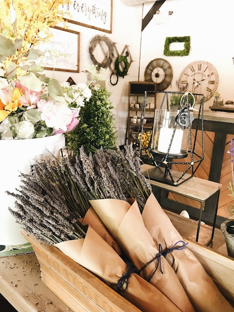 Lavender Picking Season Is Pure Magic