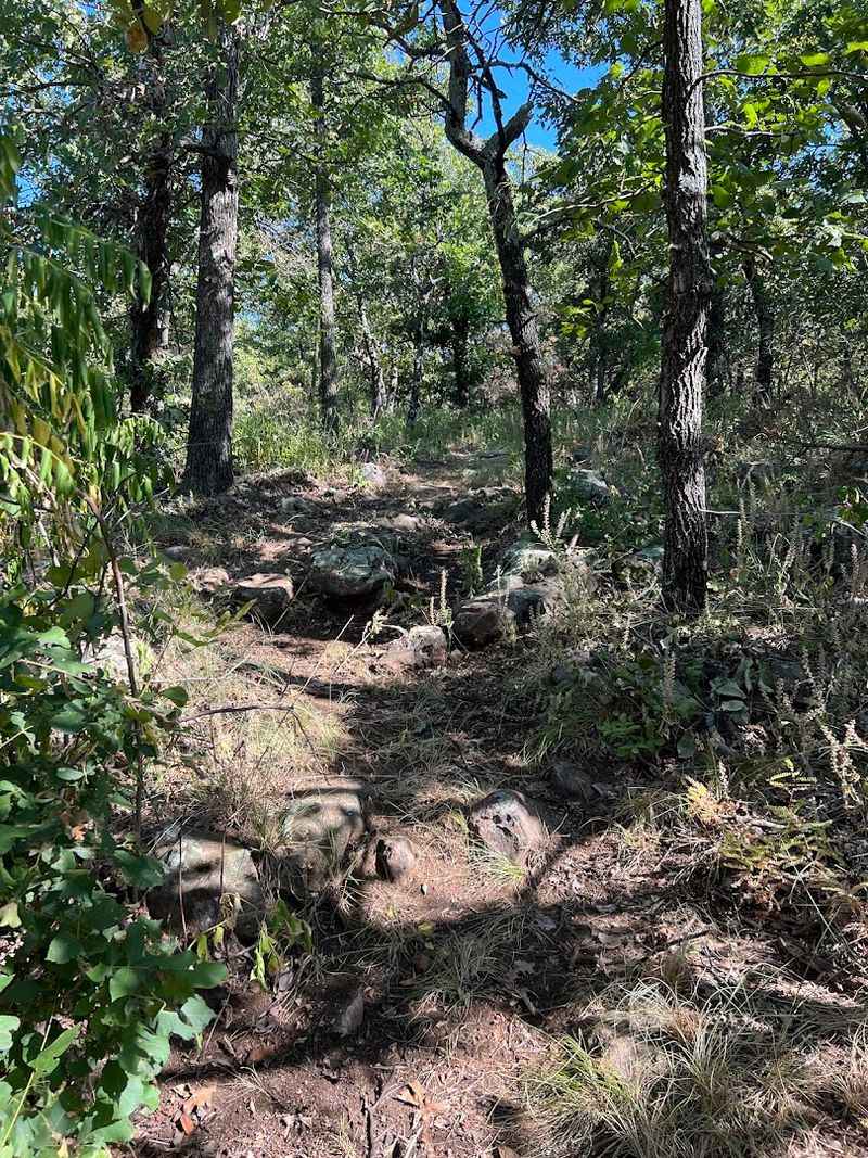 The Landscape Along the Path