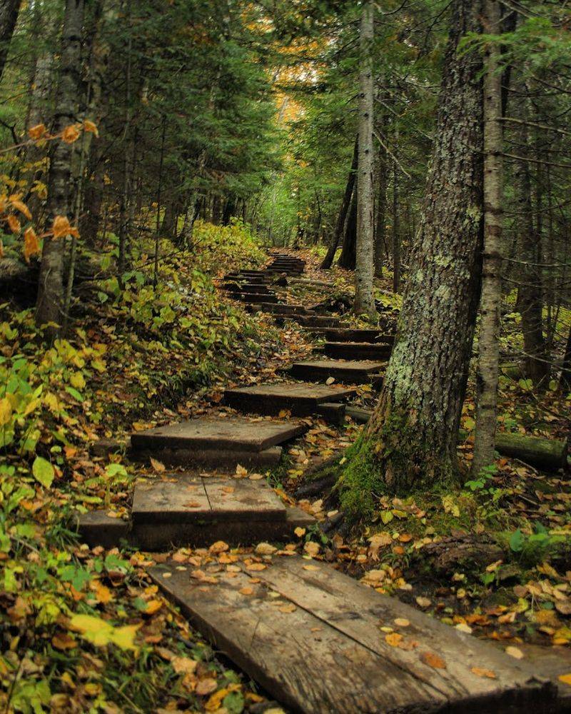 The Trailhead: Where the Adventure Begins