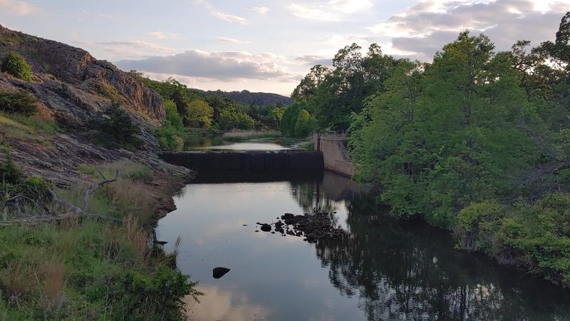 Wildlife Encounters Are a Real Part of the Experience