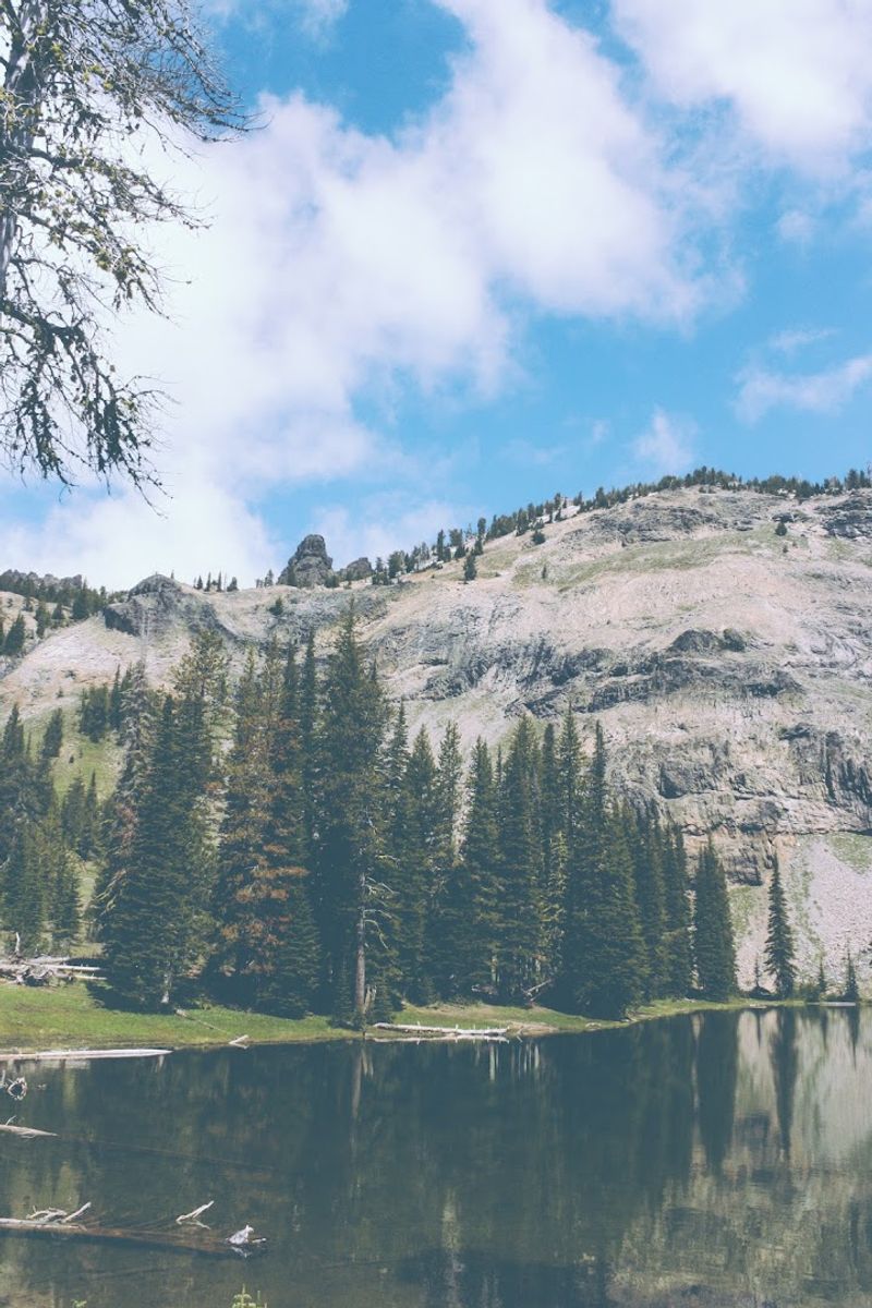 Wildlife Watching in the Wilderness