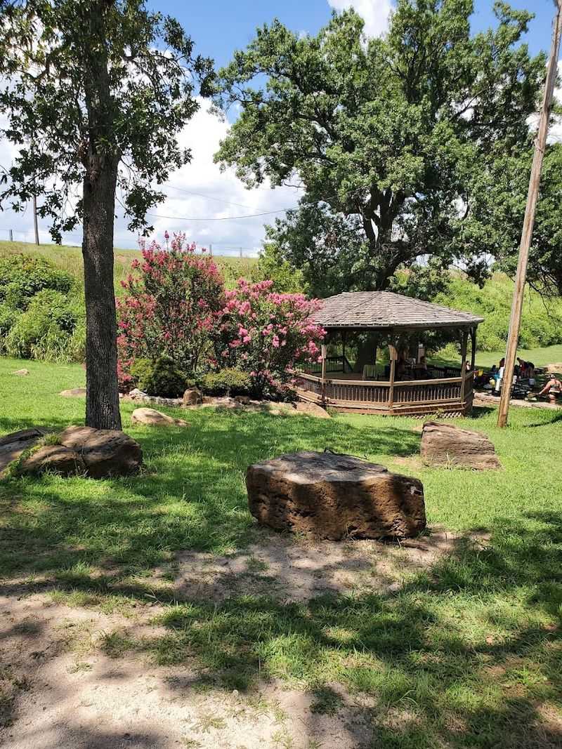 Wildlife and Birdwatching Around the Lake