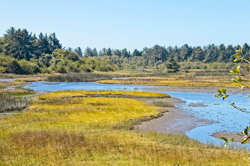 A Former Farm Turned Wild Sanctuary