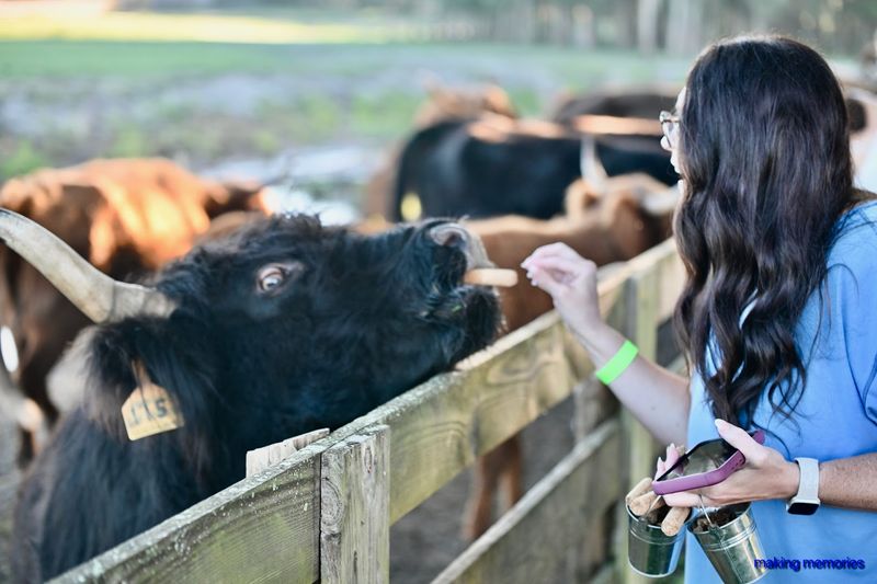 Photo Opportunities You Can't Miss