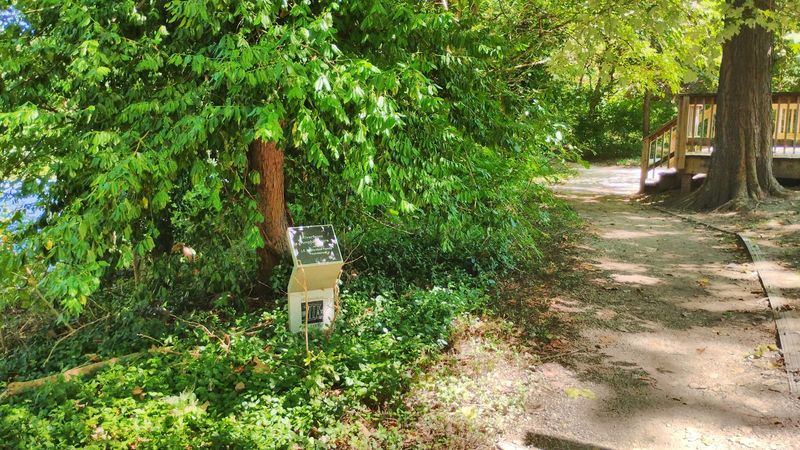 You Can Actually Walk Inside It