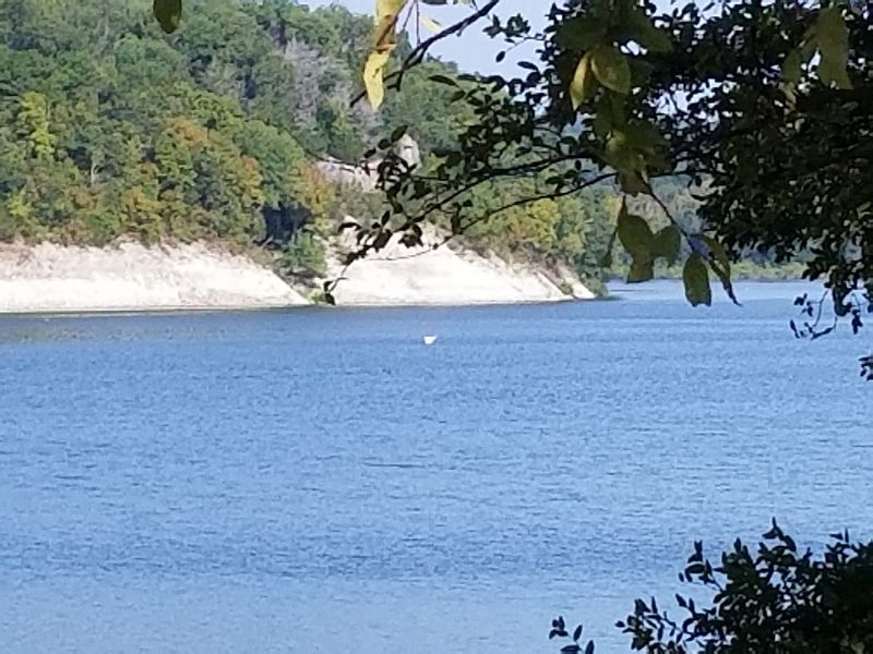 Why Pettit Bay Islands Deserves More Attention