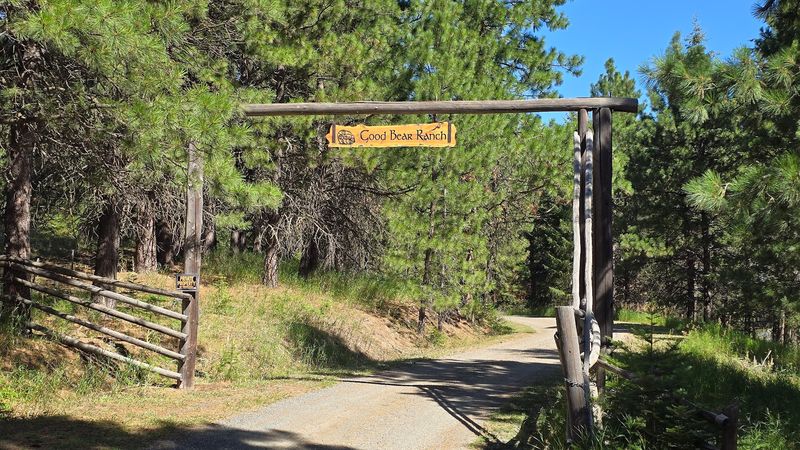 Direct Forest Access From the Property