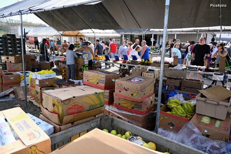 One Last Bag Of Treasures Before The Drive Home