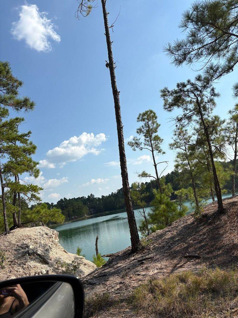 The Landscape Around the Lagoon