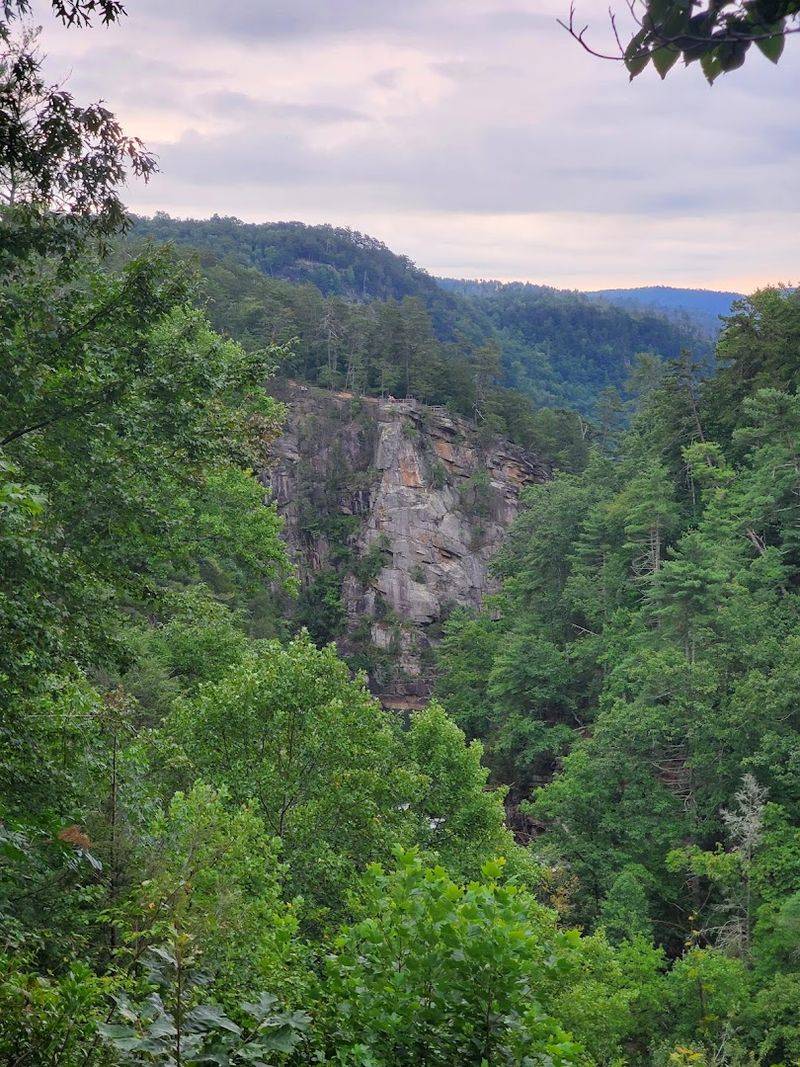 This Place Feels Deep In The Woods