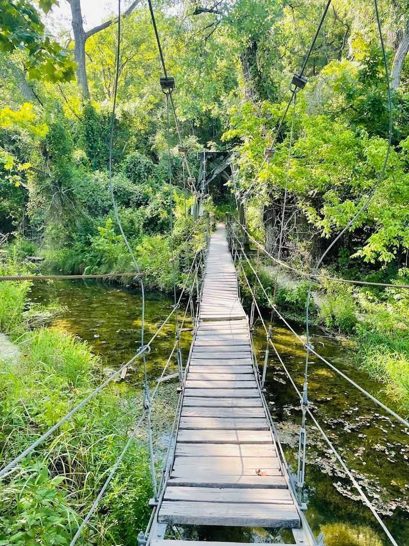 The Suspension Bridge: A Little Drama, A Lot of Fun