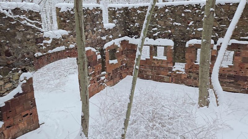 The Greenhouse Shell and What Grows There Now