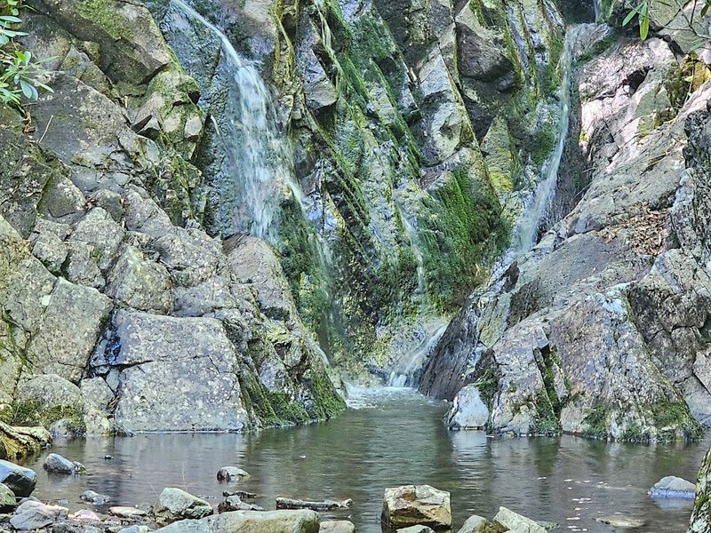 The Cabin Creek Trail Waterfall