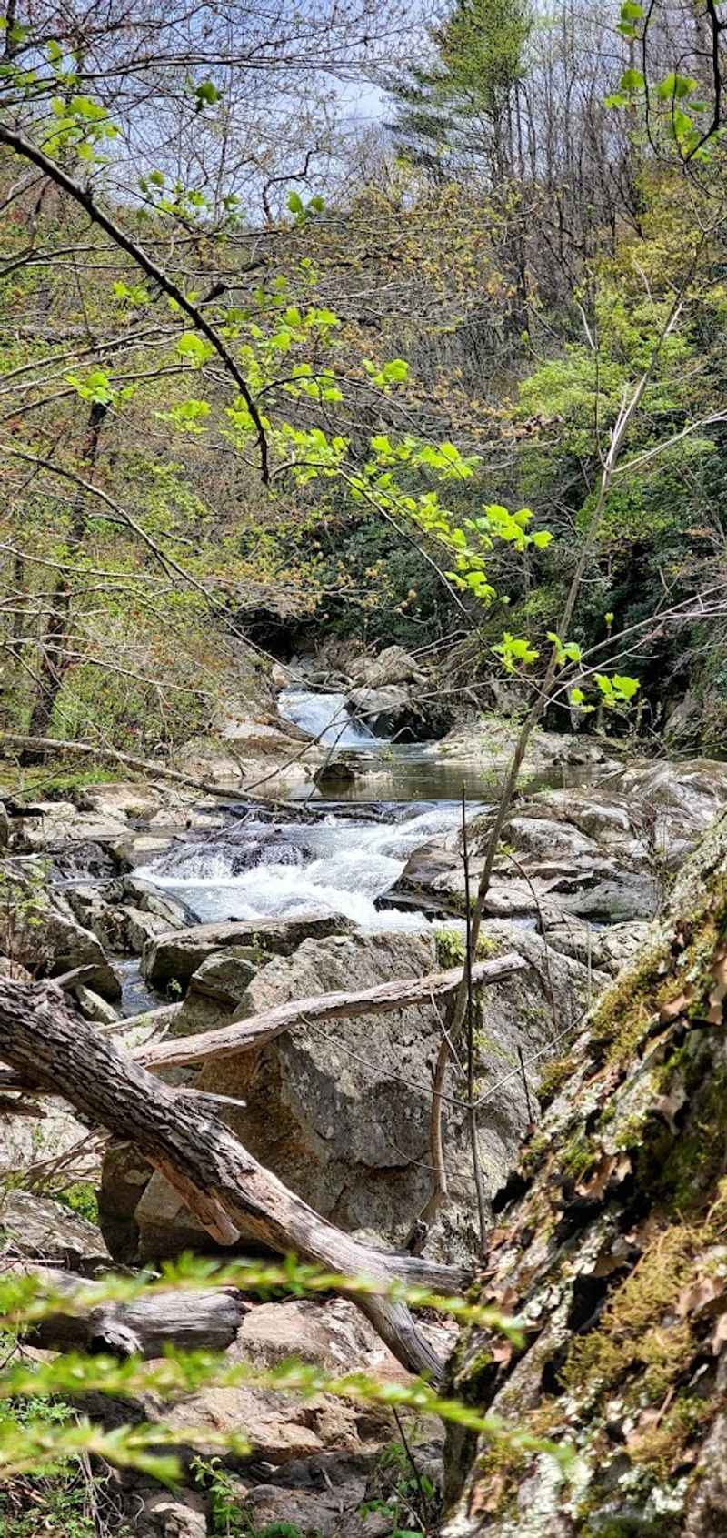 The Kettles: Where the Creek Gets Dramatically Creative