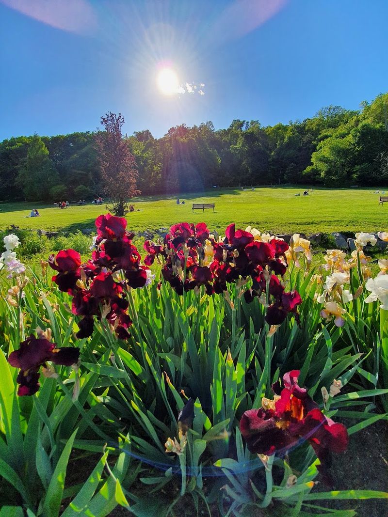 Over 3,000 Varieties Covering Every Color You Can Imagine