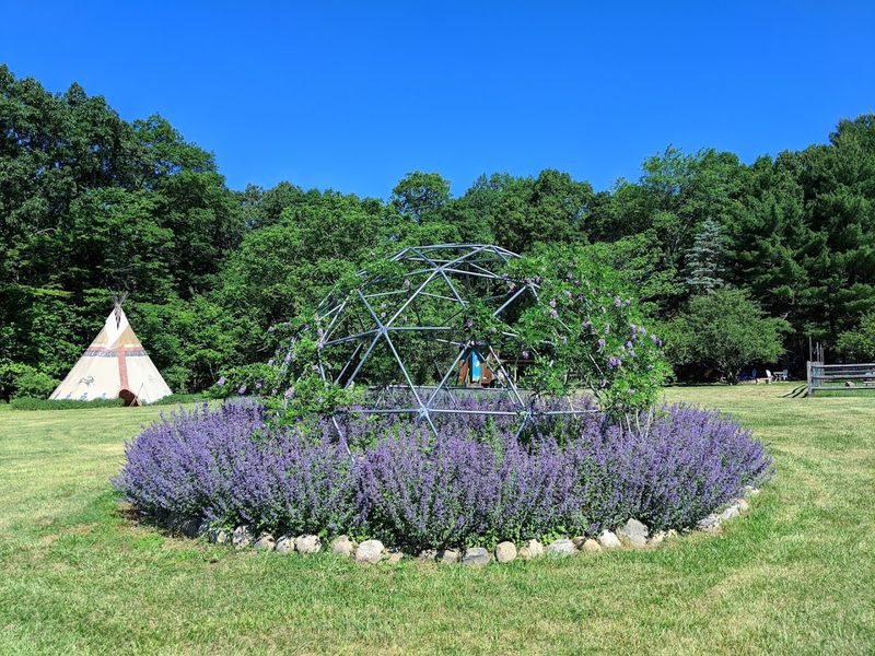 Watercolor Painting Classes Among the Bloom Rows