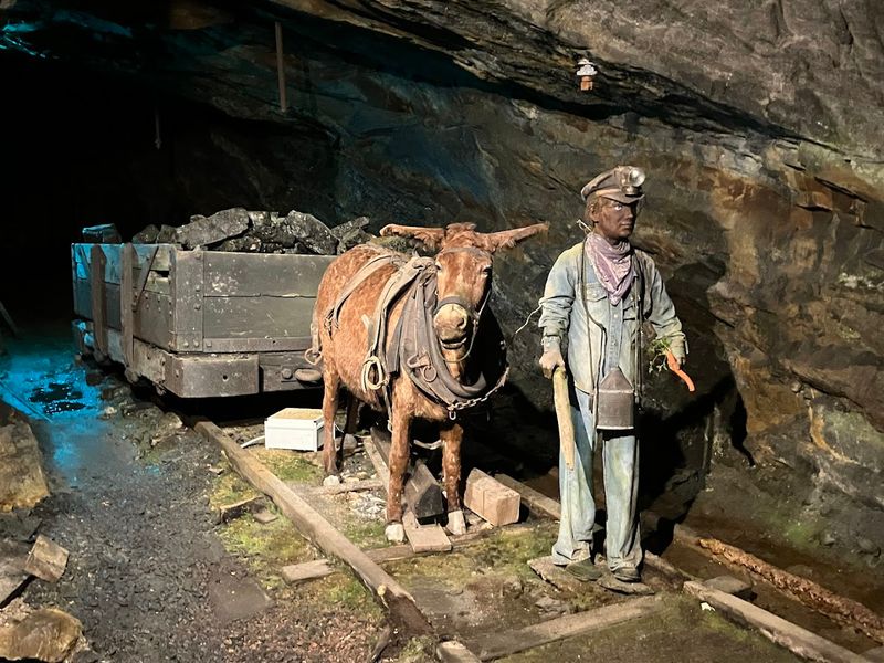 Damp Darkness Shapes The Whole Experience