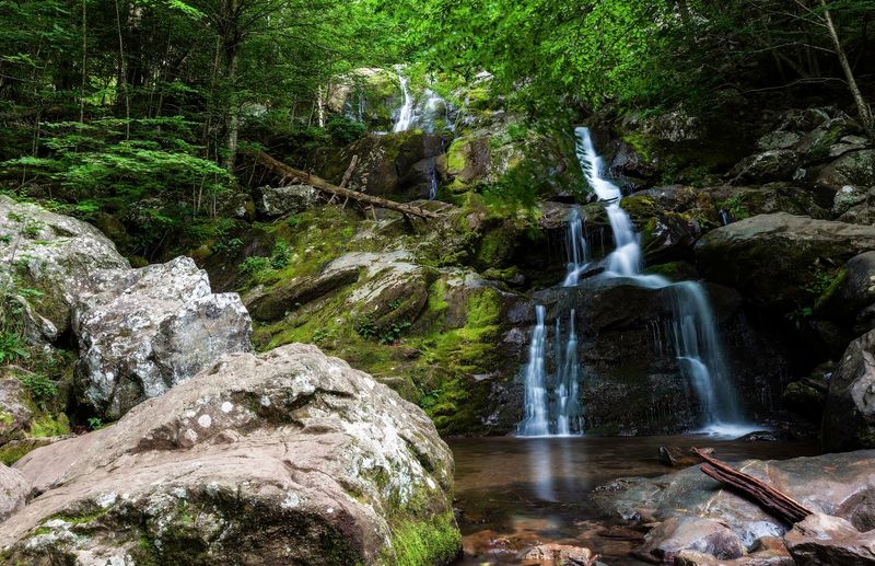 Seasonal Magic: When to Visit for Maximum Wow