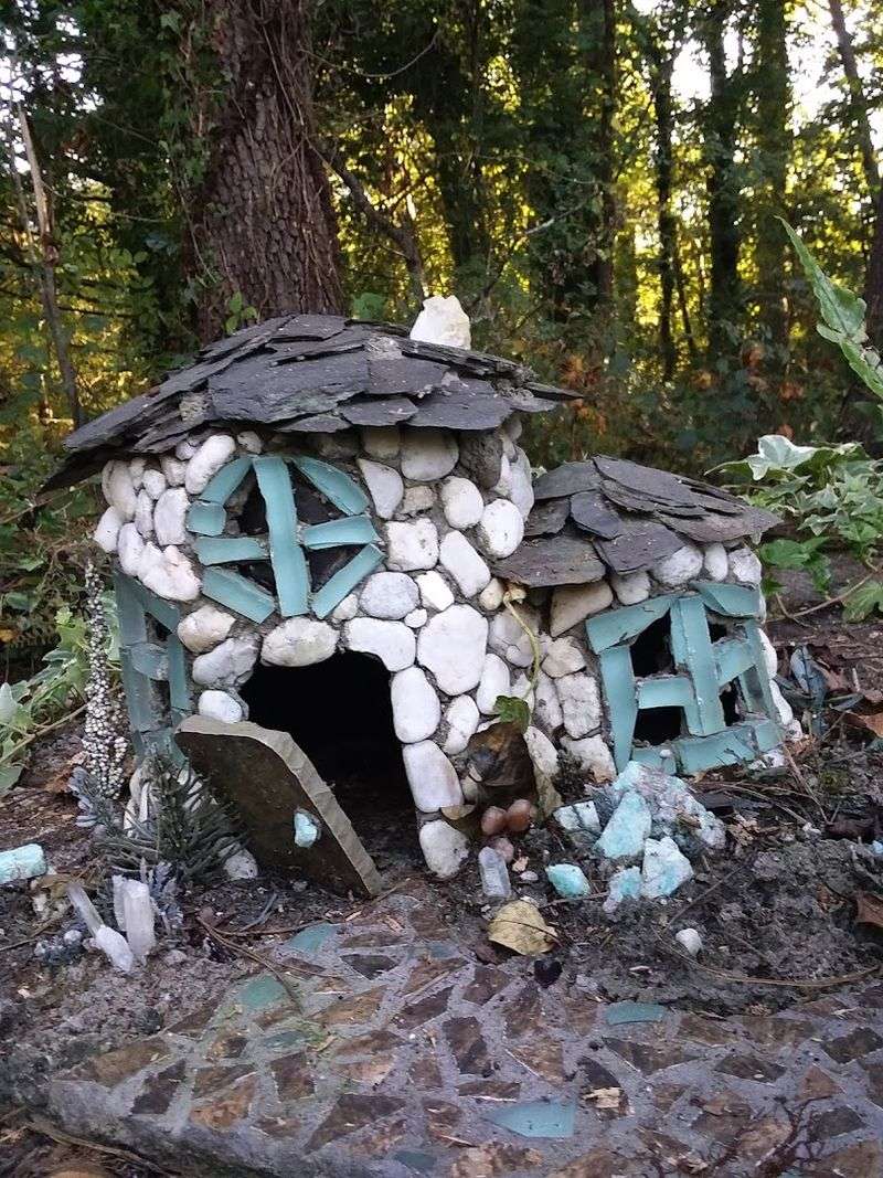 A Forest Walk That Feels Like It Belongs in a Fairy Tale