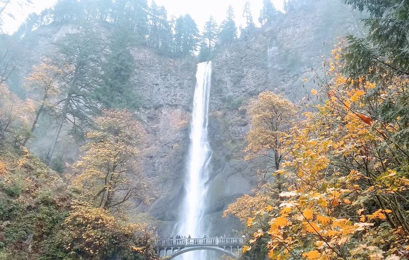 Cold Spring Creek: The Soundtrack of the Hike