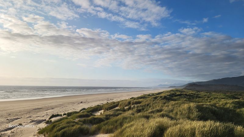 The Ocean Beach Side