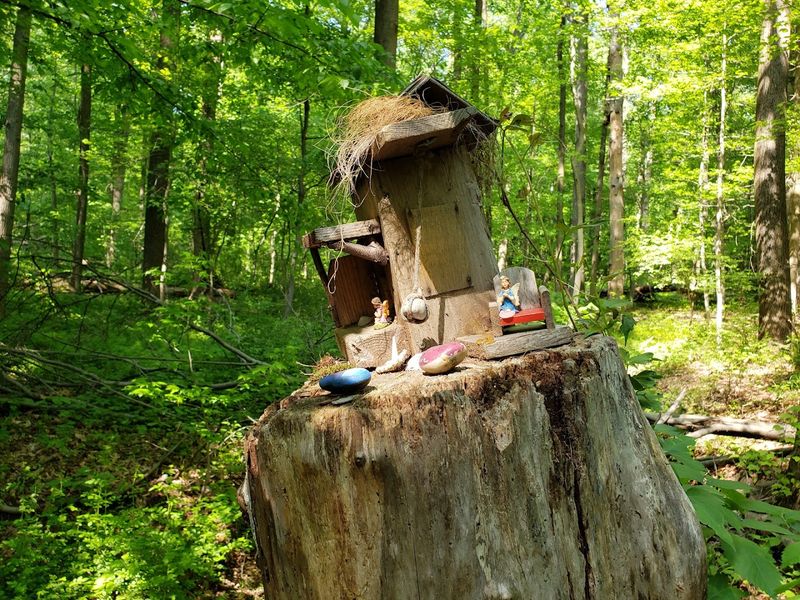 The Fairy Trail: A Whimsical Walk Hidden in Plain Sight