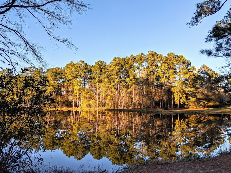 The Spring Trails Preserve at the Heart of It All