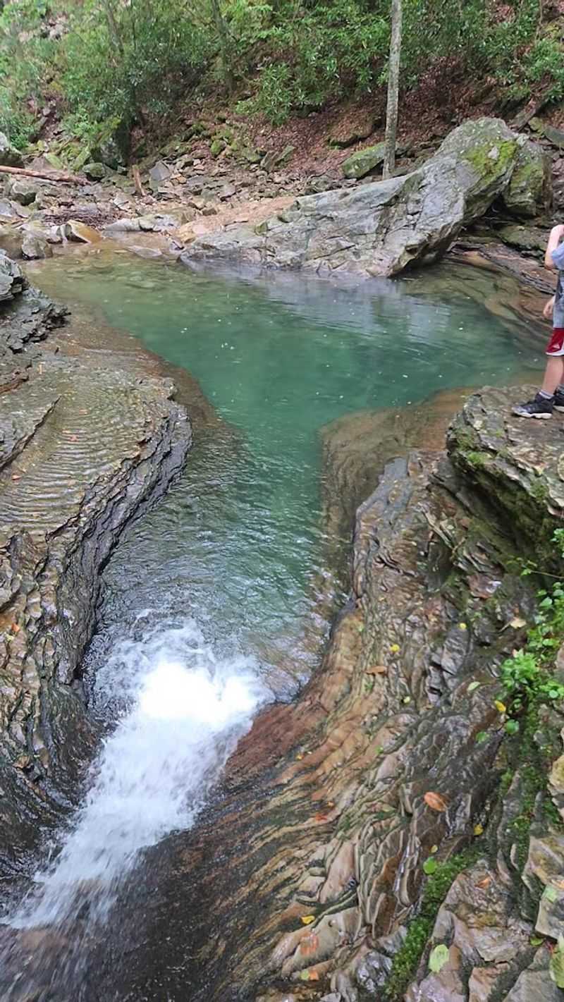 Creek Crossings That Make Every Step an Adventure