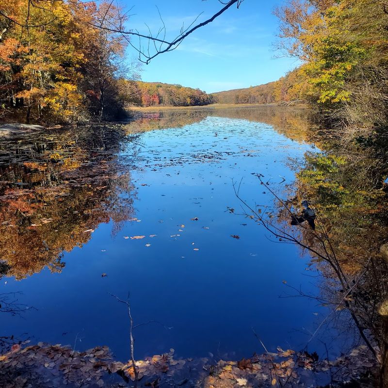 Scarlet Oak Pond: The Glistening Reward Waiting at the End