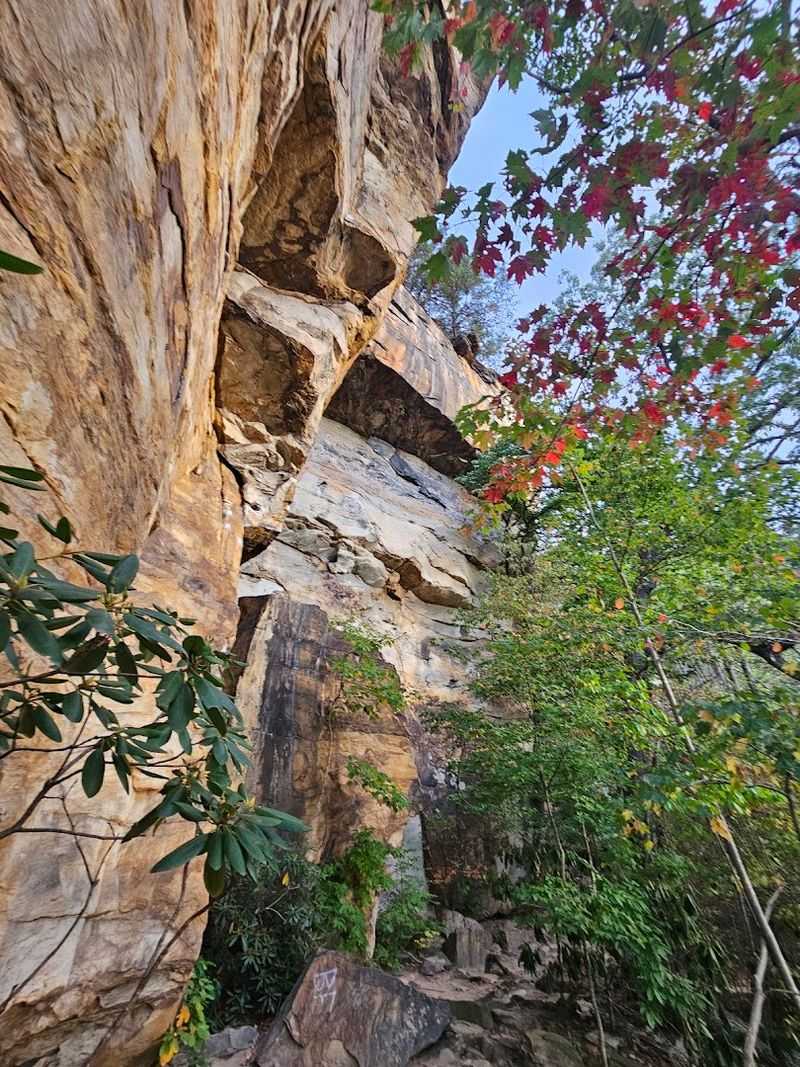 Sandstone Cliffs That Stop You in Your Tracks