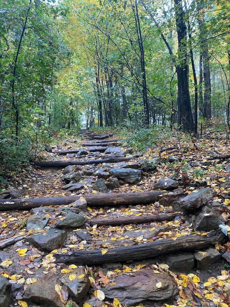 First Mile Up: Where the Trail Earns Its Moderate Rating