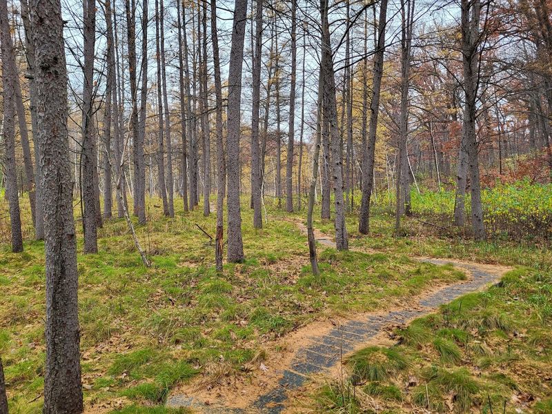 Planning Your Visit: Practical Tips for Getting the Most Out of the Trail