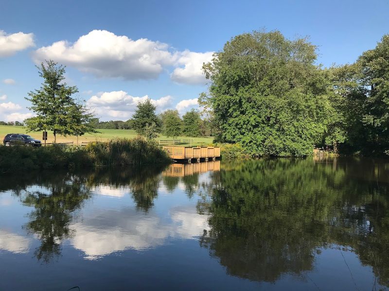 Picnicking Near Prehistoric Ground: Food and the Great Outdoors
