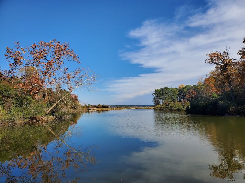 Kayaking and Paddleboarding on the York River