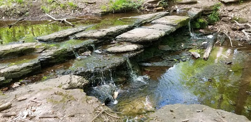 Buell Brook and the Yellow Trail: Where Water Meets Wilderness Buell Brook and the Yellow Trail: Where Water Meets Wilderness
