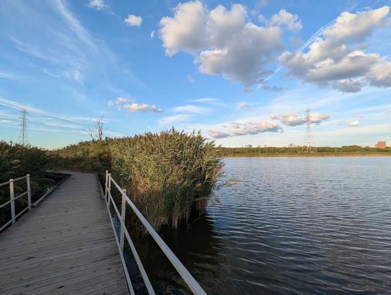 The Saw Mill Creek Trail and Its Vast Mudflat Views