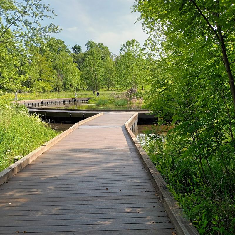 The Boardwalk, Pond, and Floating Docks That Feel Like a Dream Sequence