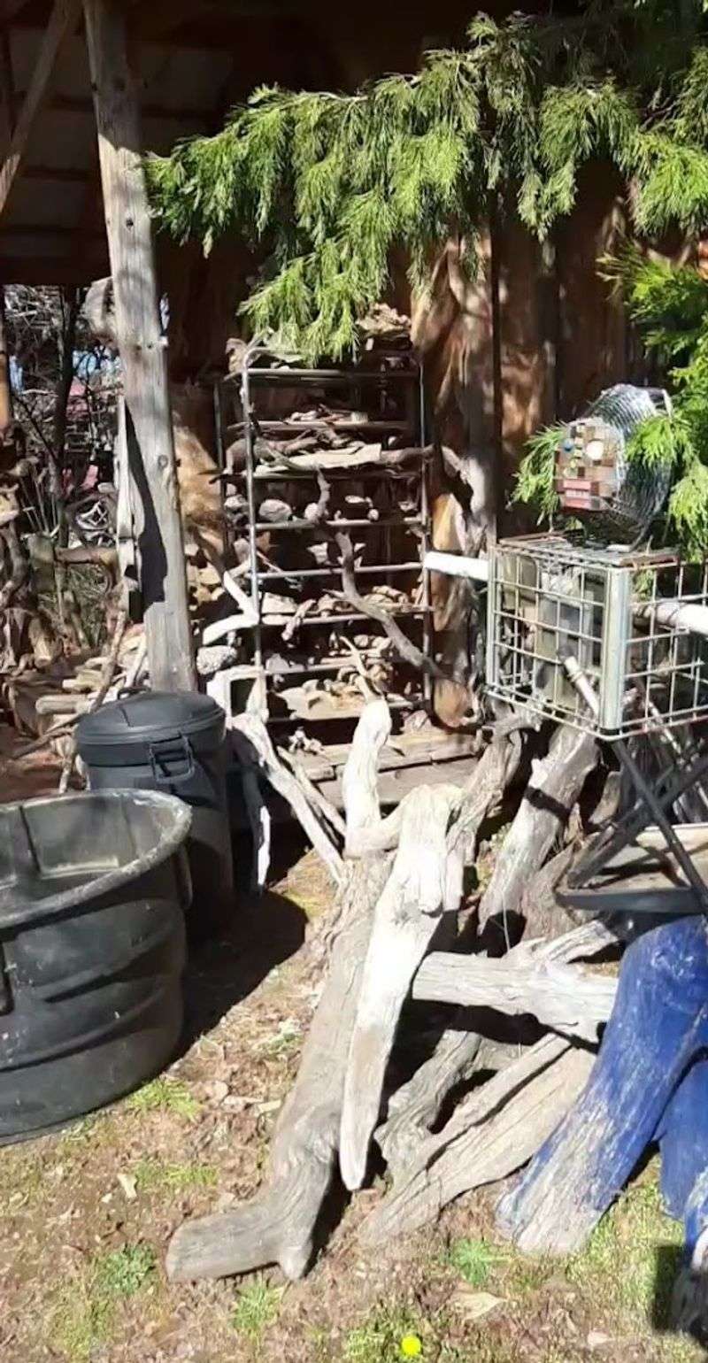 Myrtle Wood and Redwood: Oregon's Most Beautiful Raw Materials