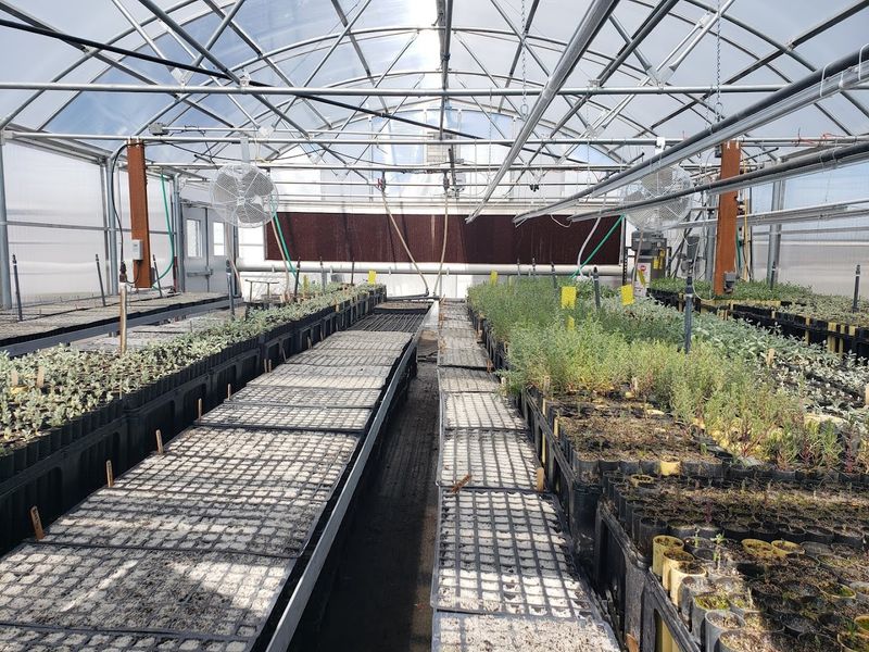 The Conservancy Buying Water Back