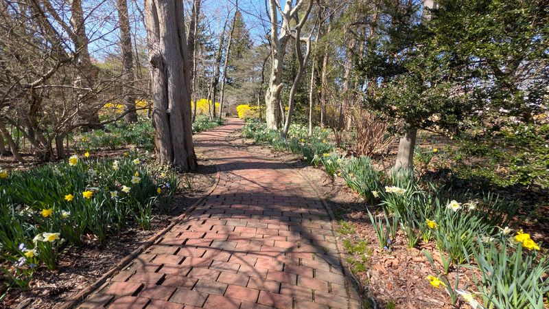 The Legendary Spring Bloom That Stops People in Their Tracks