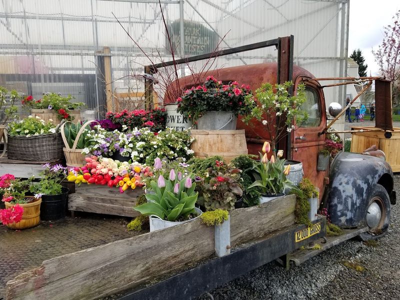 The Vintage Trolley Adds Extra Charm