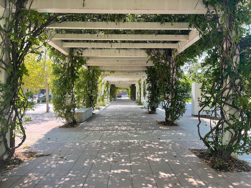 Fitness Classes and Active Living