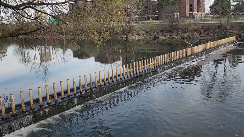 The Scajaquada Creek Buried Beneath the City Streets