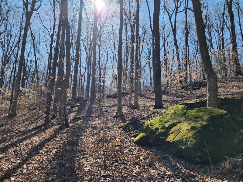 Rocky Terrain That Actually Challenges You