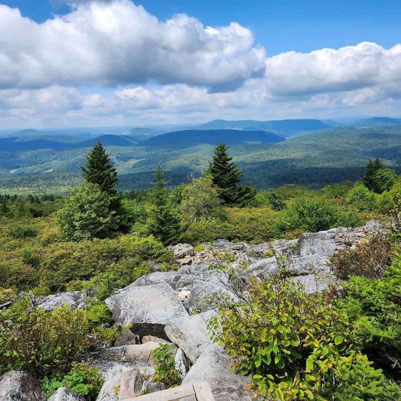 Monongahela National Forest: Where the Mountains Actually Mean Business