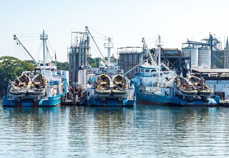 Planning Your Trip with Tangier Island Cruises: Everything You Need to Know