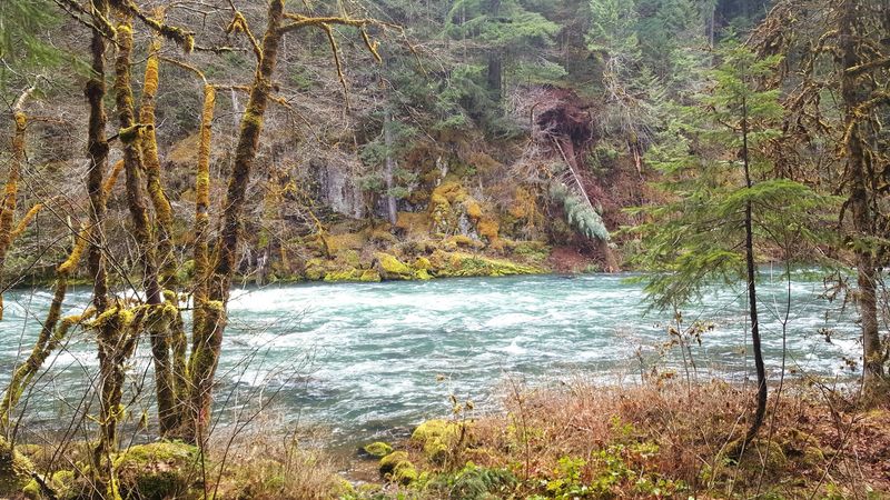Best Time of Year to Hike the Tioga Segment