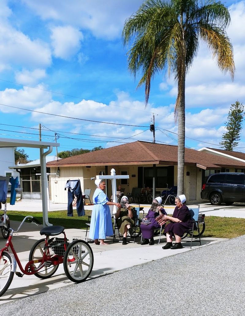 Pinecraft: The Little Amish Community You Never Knew Existed