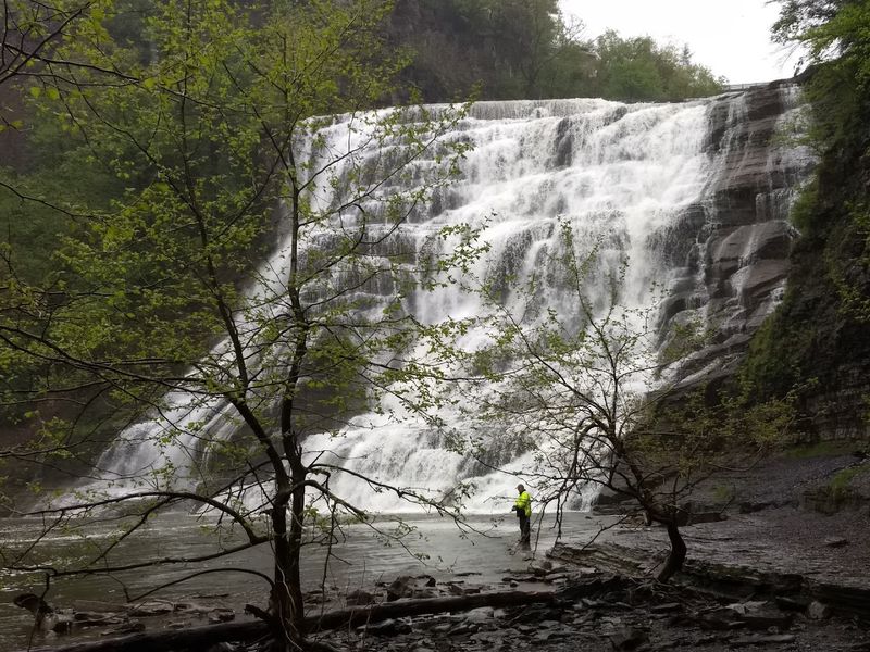The Hijacked Falls, Ithaca